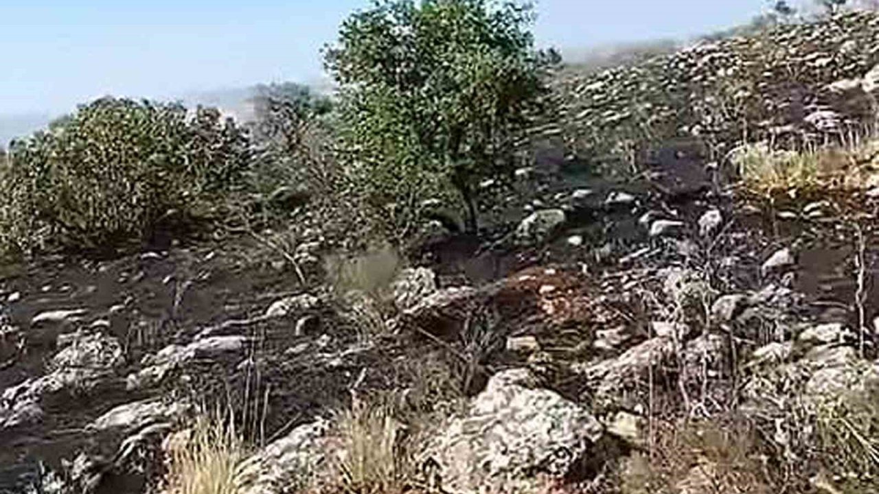 Araban’da fıstıklık ve otluk alanda yangın