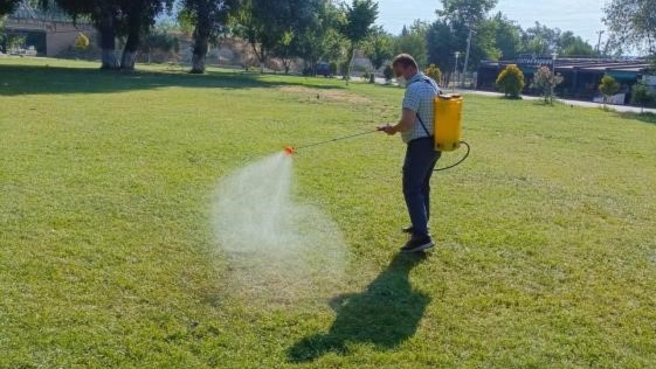 Sakarya Nehri kıyısında haşereye karşı yoğun mesai