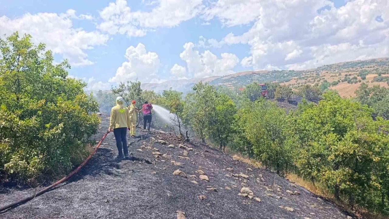 Bingöl’de orman yangını büyümeden söndürüldü
