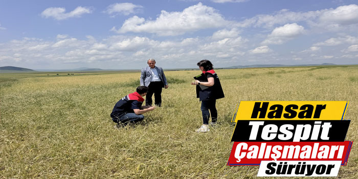 Kars'ta Dolu ve Fırtına Sonrası Hasar Tespit Çalışmaları Başladı