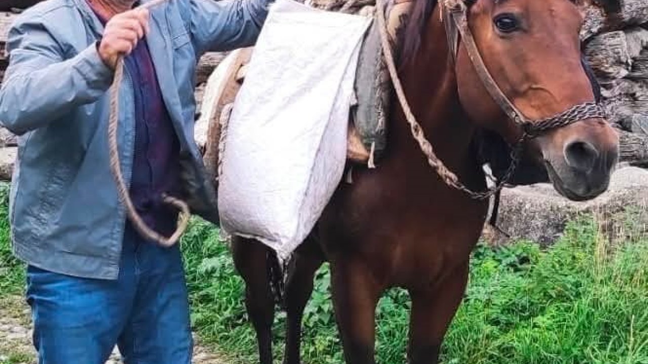 Erzurum’da acı olay: Psikolojik tedavi gören şahıs derede can verdi