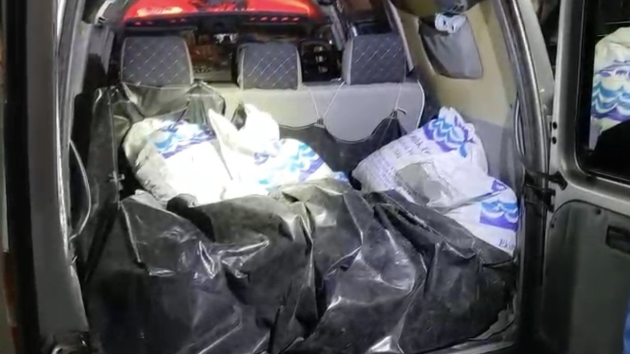 Kaçak toplanan 150 kilo kara kıllı midye denize geri bırakıldı