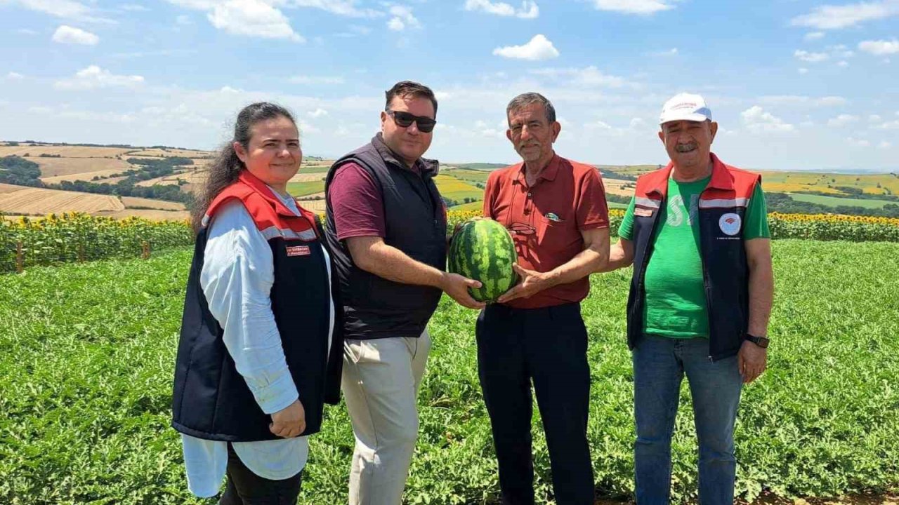Tekirdağ’da ilk karpuz hasadı başladı