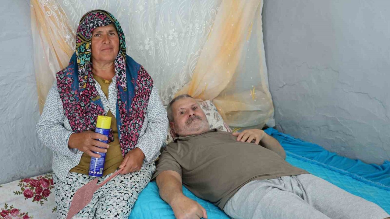 Felçli eşinin rahat etmesi için başında sinek nöbeti tutuyor
