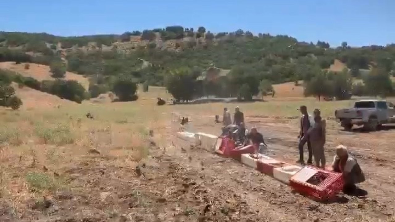 Elazığ’da kenelerle mücadele için doğaya keklik bırakıldı