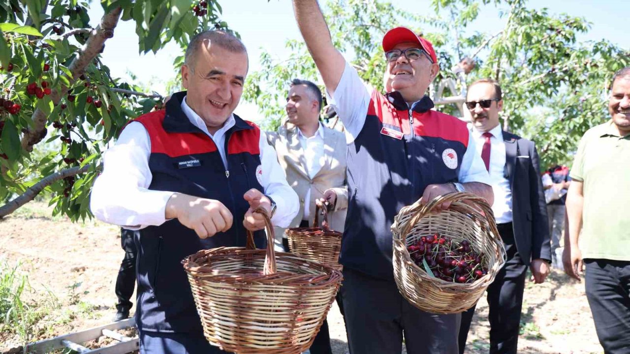 Elazığ’da 7 bin dekar alanda kiraz hasadı devam ediyor