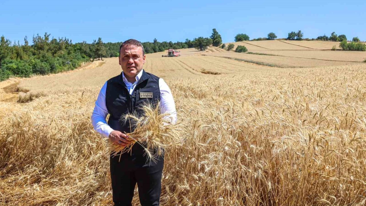 Bilecik’te bu yıl 335 bin dekar alanda 167 bin 500 ton buğday üretimi bekleniyor