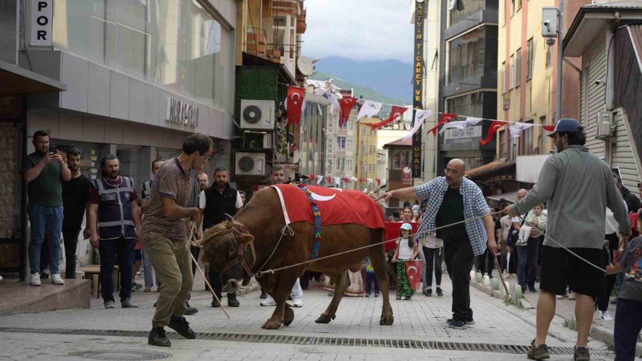 "Kafkasör Festivali" boğalı kortej yürüyüşüyle başladı