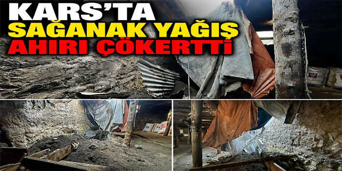 Kars'ta sağanak yağış ahırı çökertti