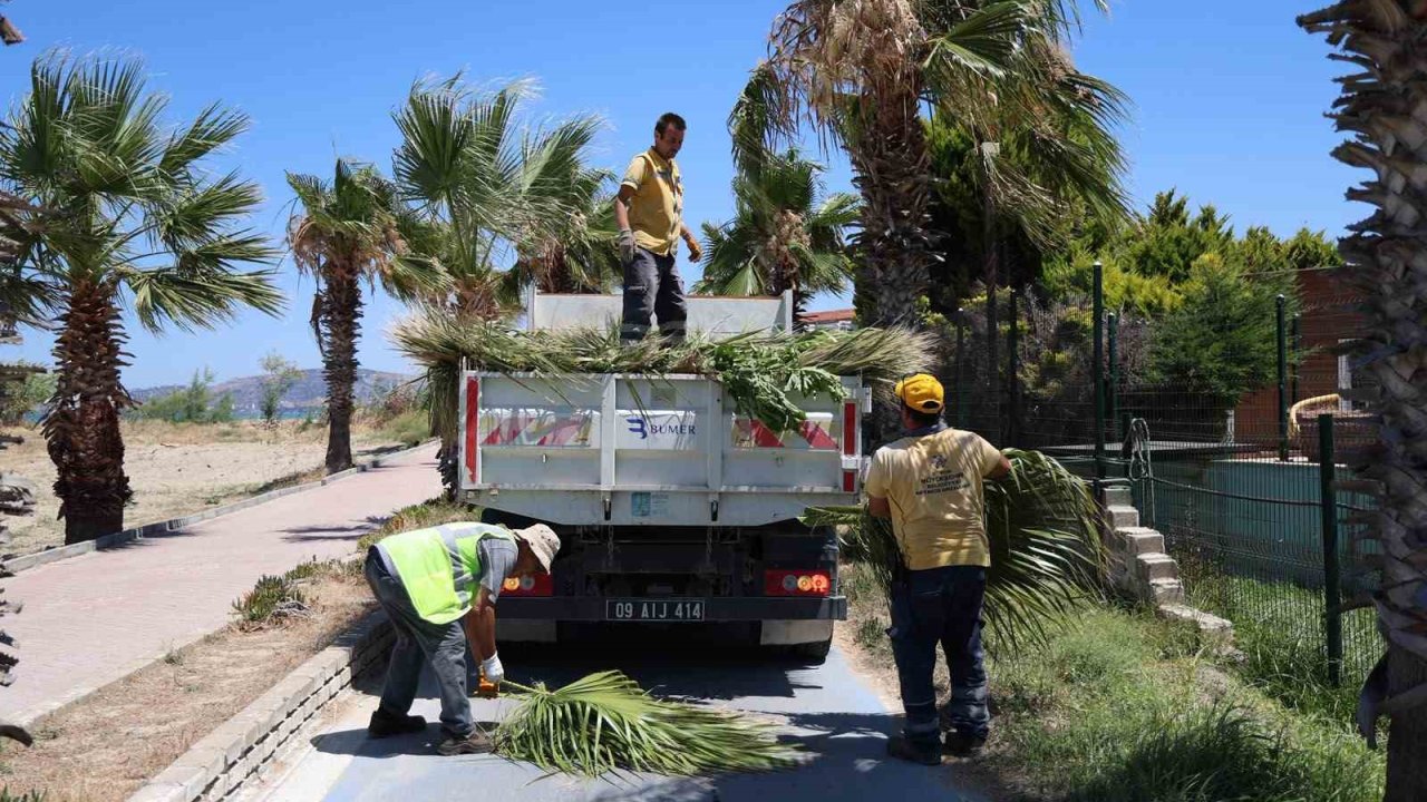 Kuşadası’nda yeşil alanlarda kapsamlı bakım ve düzenleme çalışması