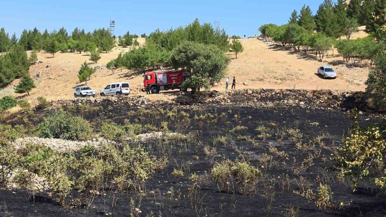 Diyarbakır’da yüksek gerilim hattına çarpan kuş yangına neden oldu