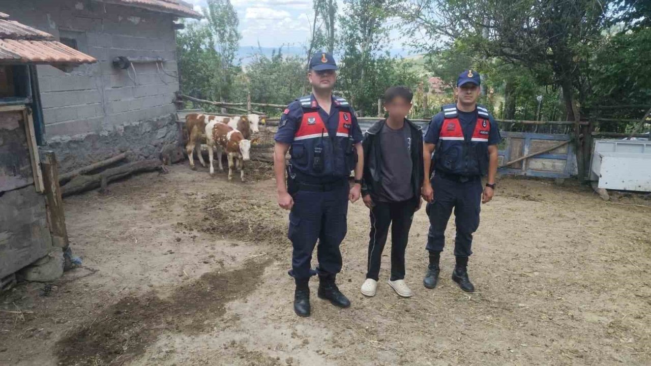 Hayvanlarını kaybeden çiftçinin yardımına Jandarma ekipleri koştu