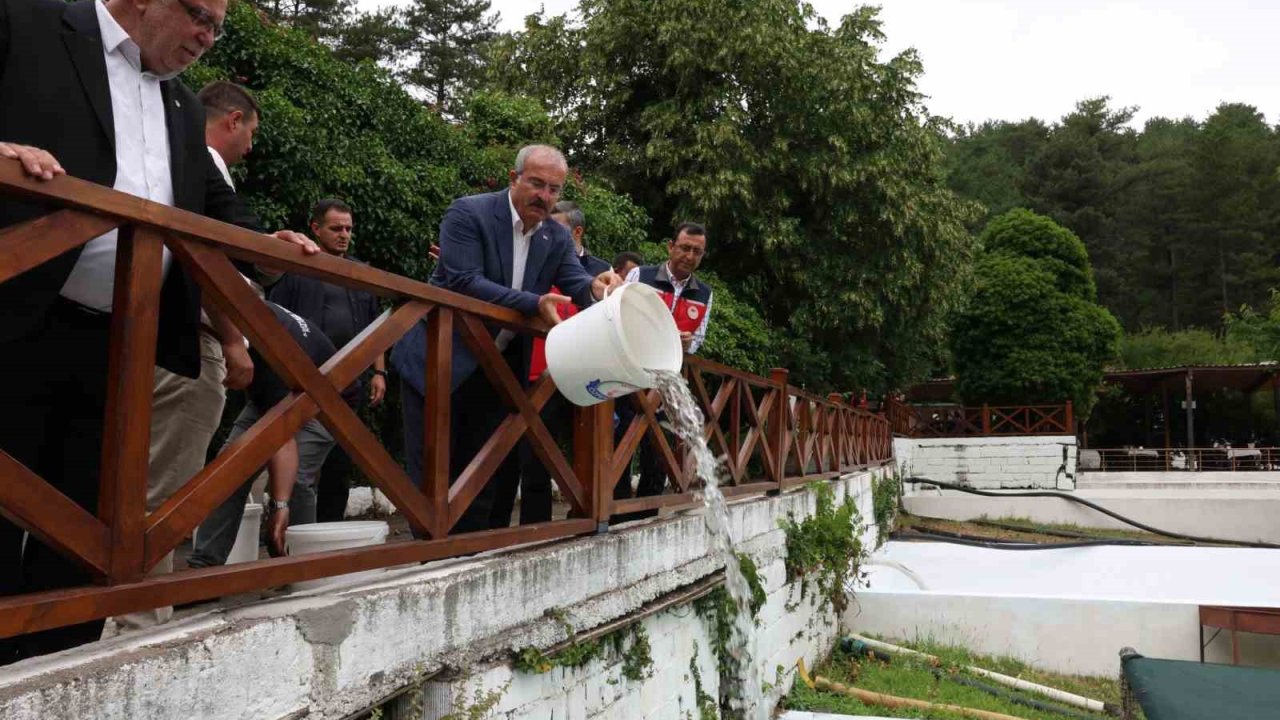 Ayazma Deresi’ne 50 bin kırmızı benekli alabalık yavrusunu bırakıldı