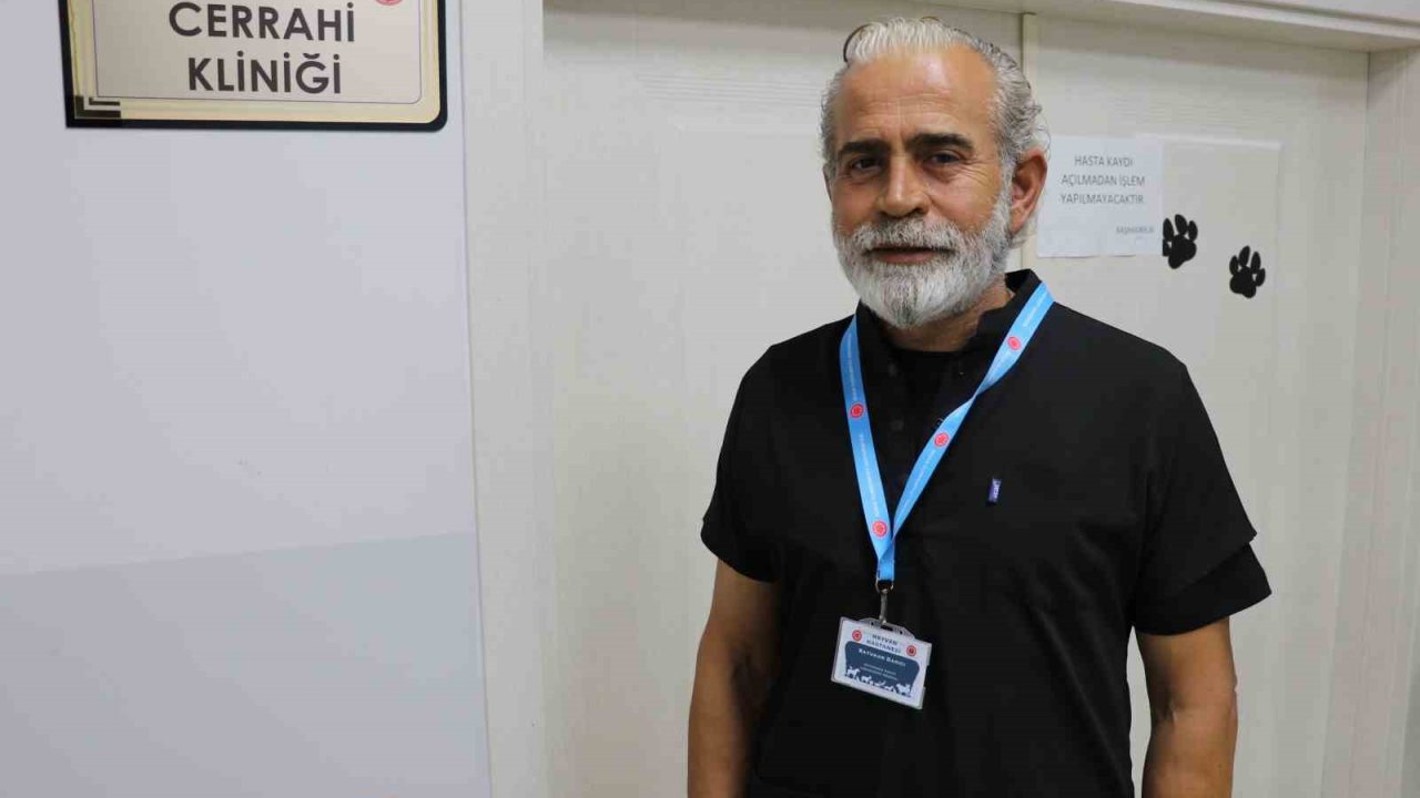 Kangal, çoban gelene kadar kırsalda doğan kuzuya kendi yavrusu gibi sahip çıktı
