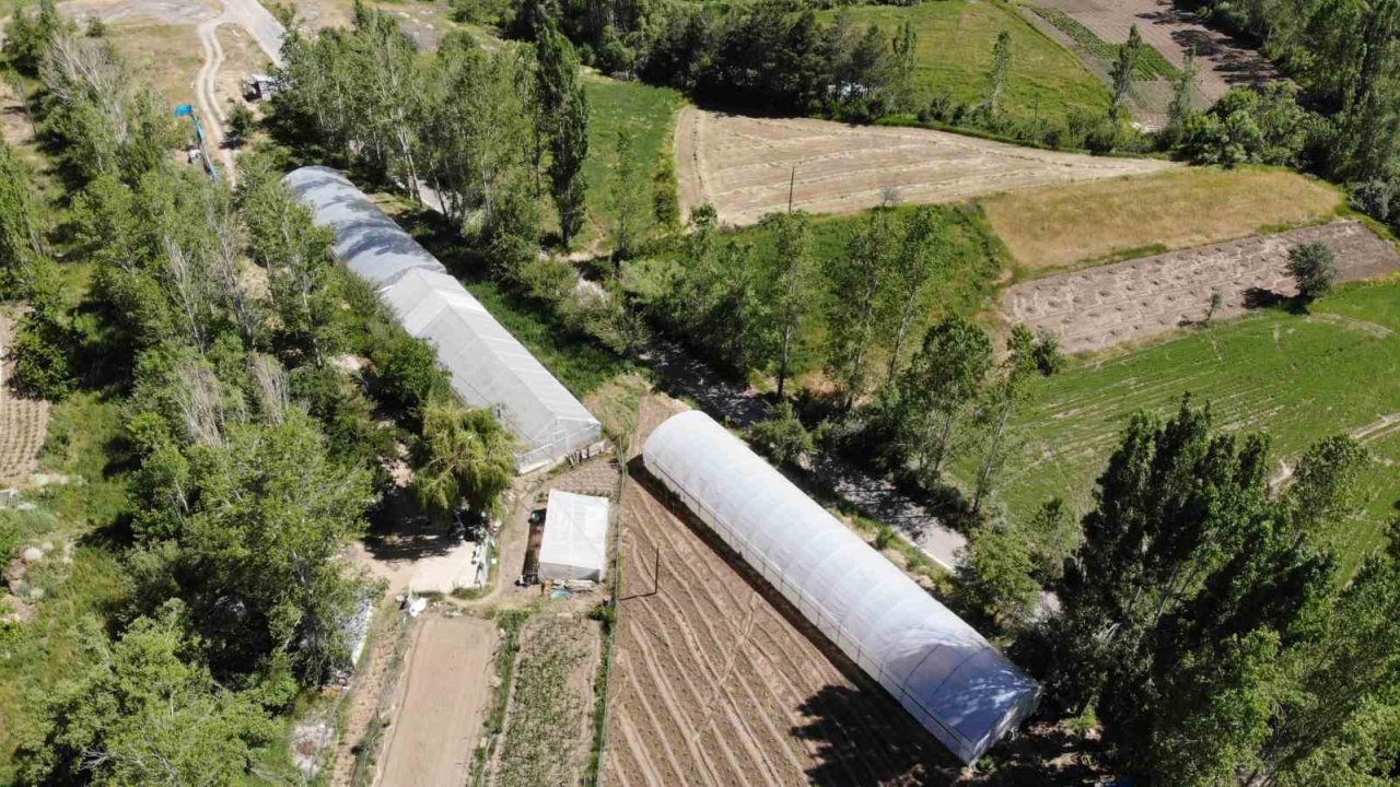 Bayburt’ta yüzde 70 hibeli sera projesi için başvurular yarın başlıyor
