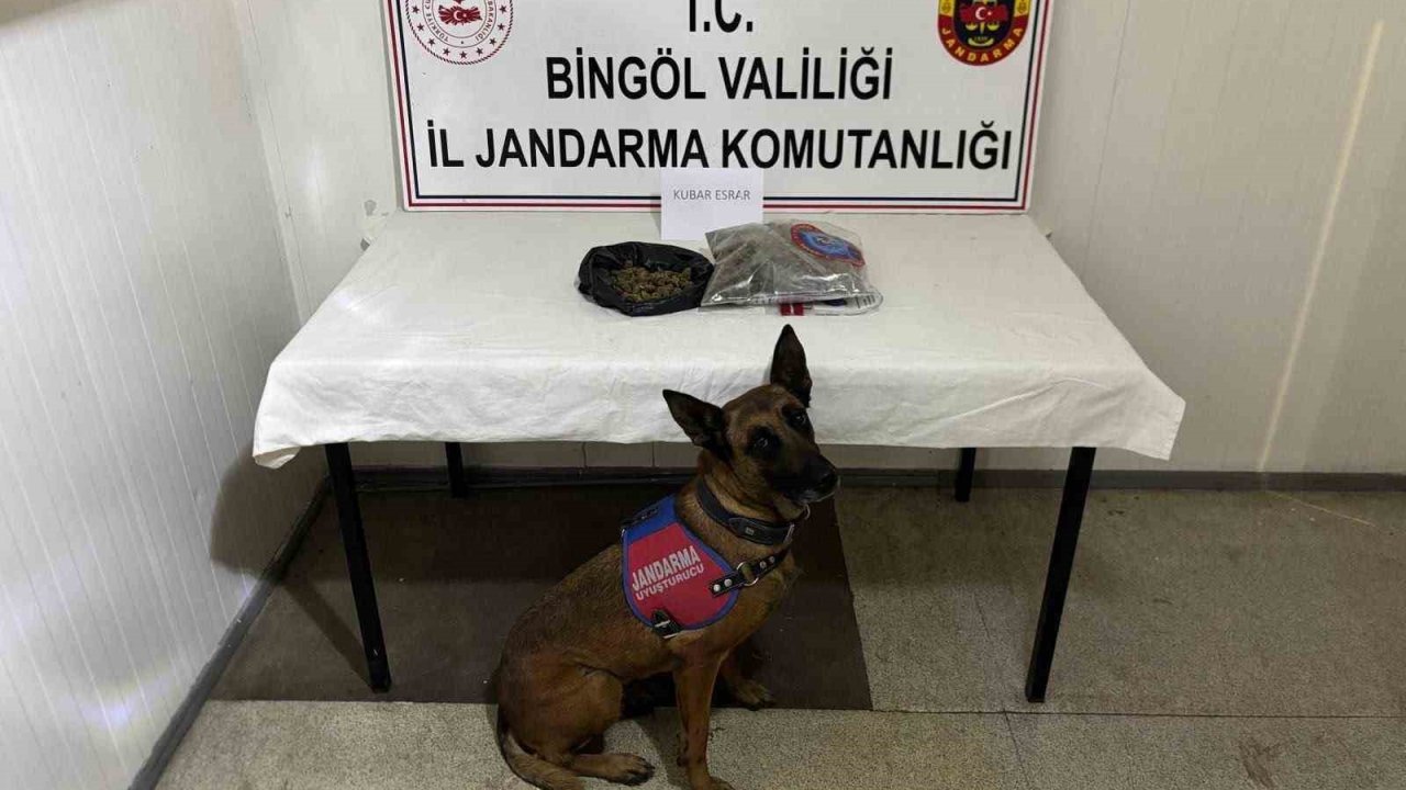 Bingöl’de haklarında kesinleşmiş hapis cezası bulunan 4 zanlı tutuklandı