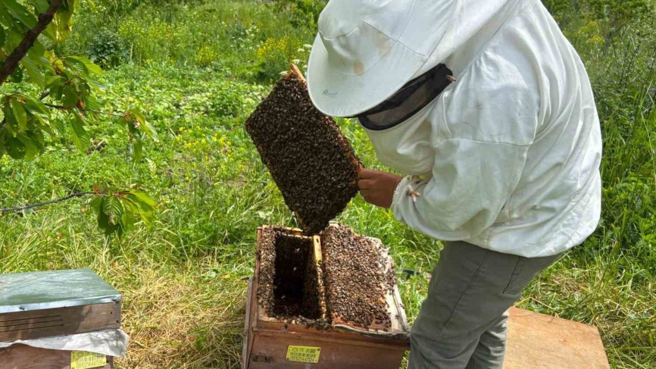 Artvin’de bal hasat sezonu öncesi üreticilerle buluşma