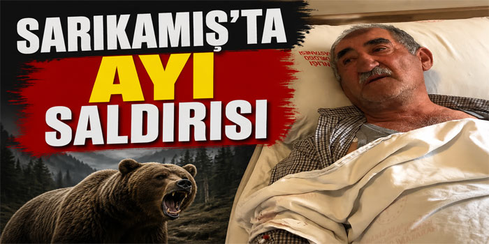 Sarıkamış’ta Ayı Saldırısı