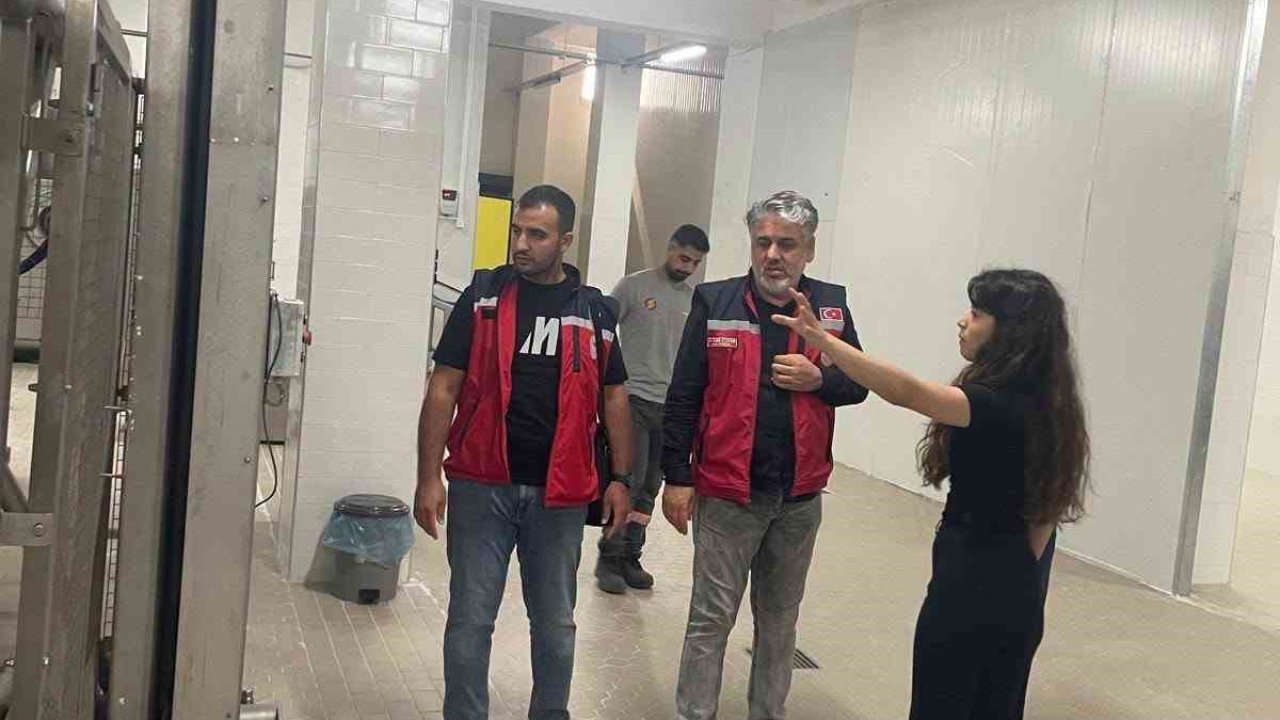 Hatay’da evcil hayvan yaş mama üretim tesisinde denetim gerçekleştirildi