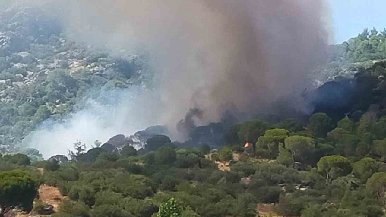 Muğla’da orman yangını