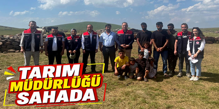 Digor Yaylalarında Hayvancılık Mesaisi