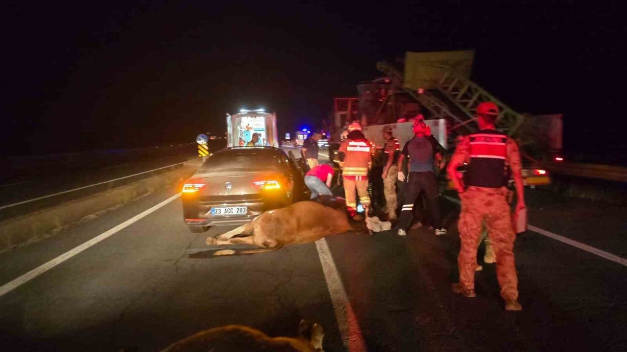 Otomobil ineklere çarptı: 2 yaralı