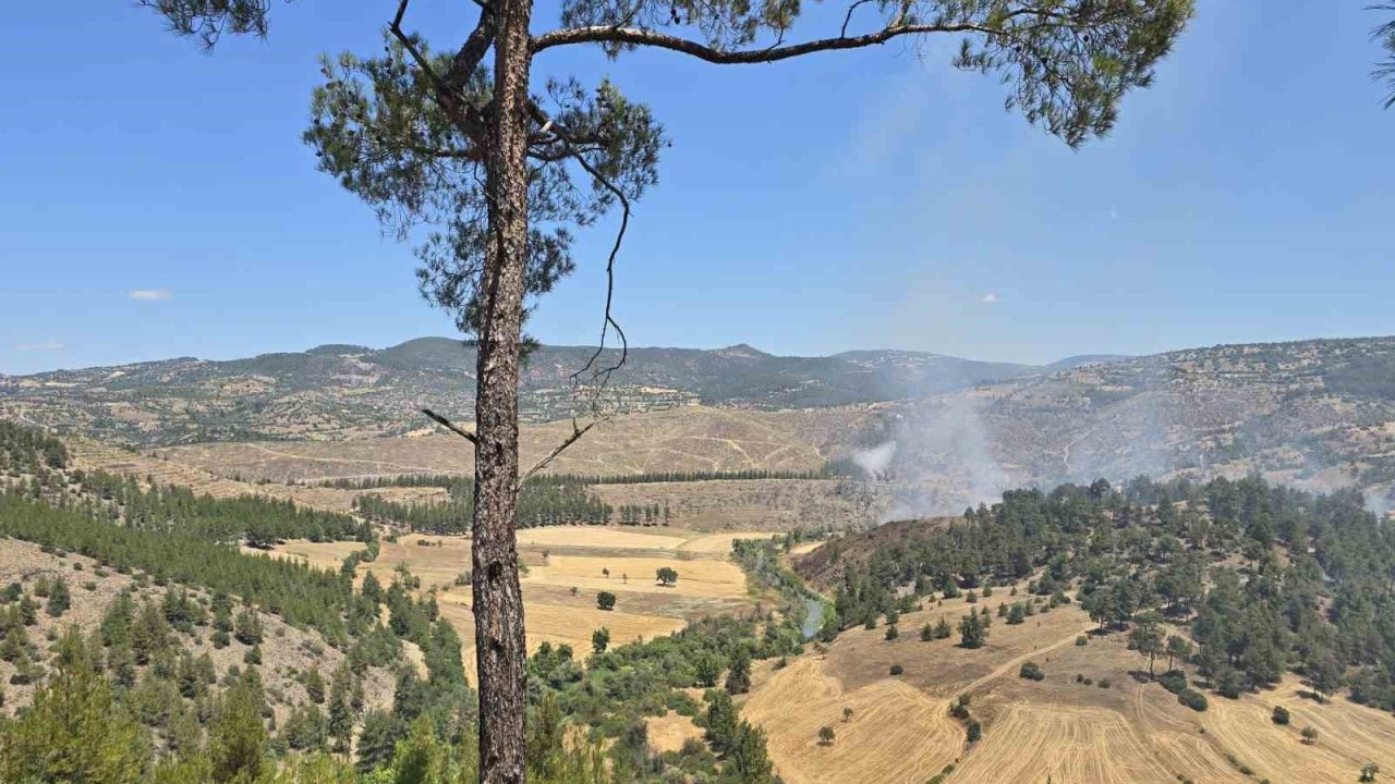 Dursunbey’de orman yangını