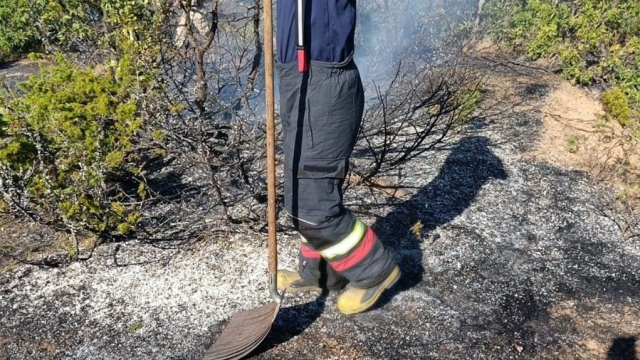 Bingöl’de yol kenarında çıkan yangın söndürüldü