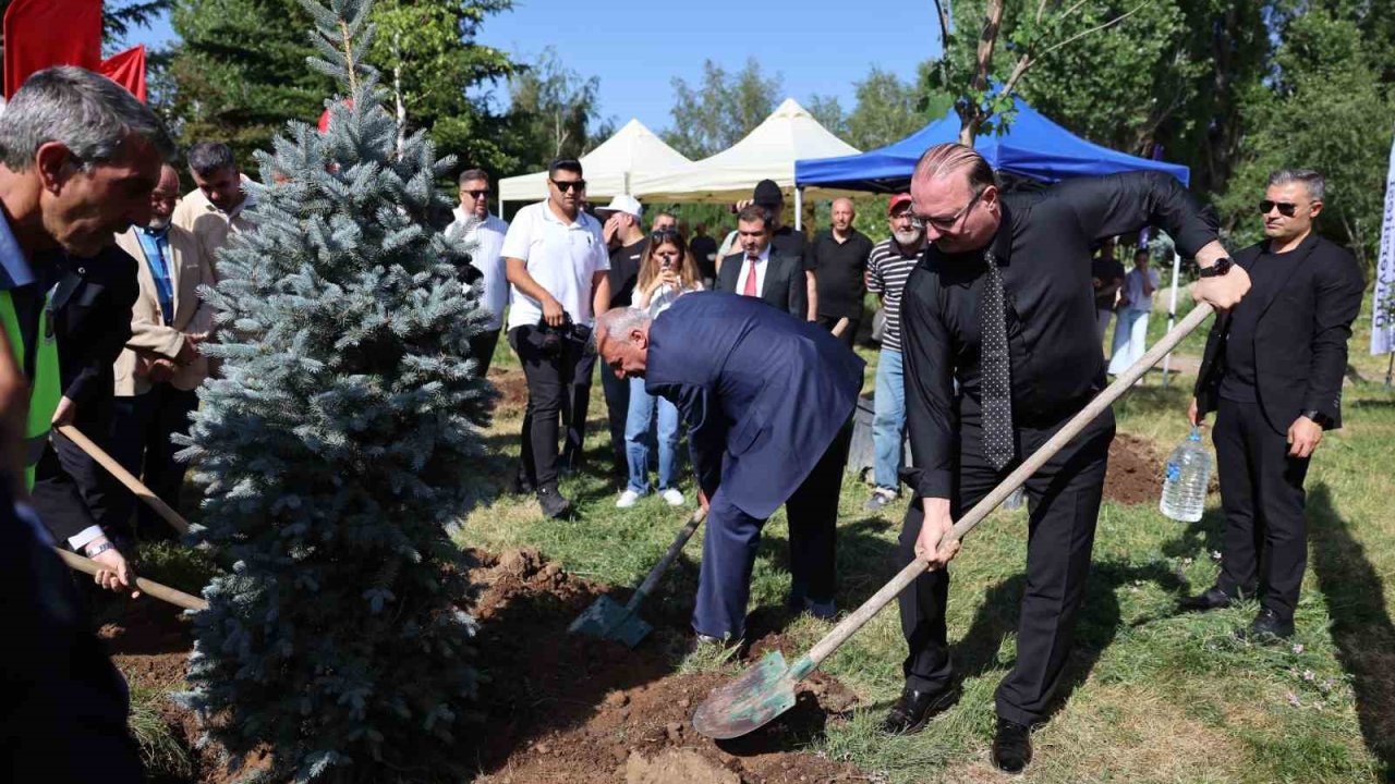 10. yılda 10 yetişkin ağaç toprakla buluştu
