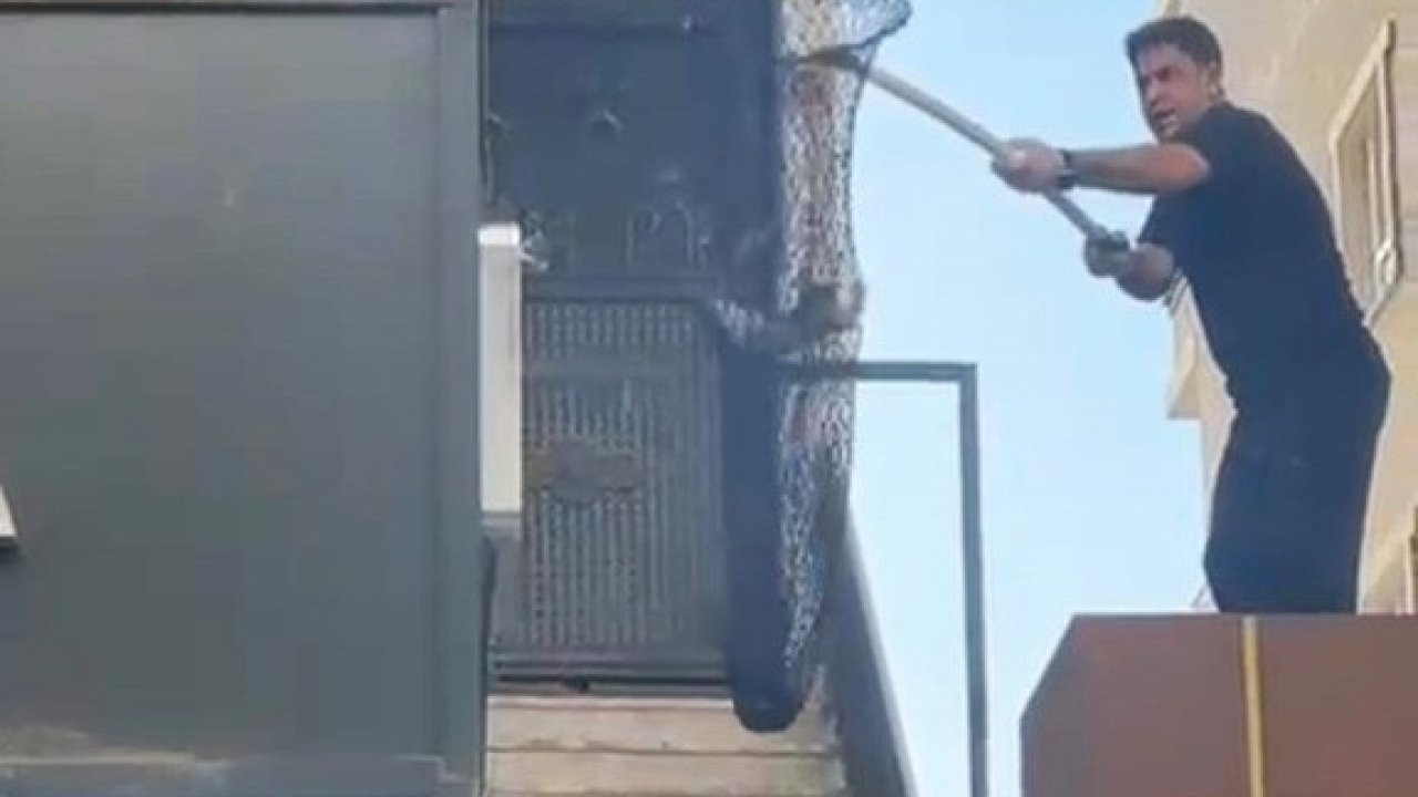 Batman’da metruk binada kilitli kalan 5 yavru kedi kurtarıldı