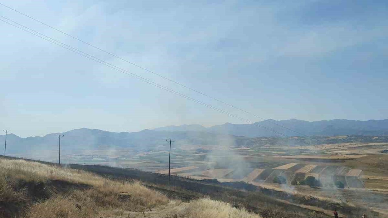 Elazığ’daki yangında 40 dönümlük arpa küle döndü