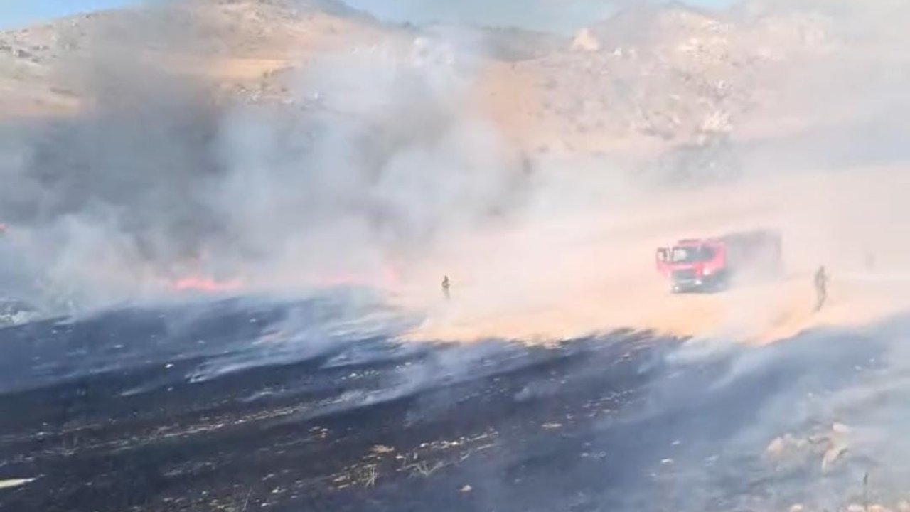 Nallıhan’da otluk alanda çıkan yangın söndürüldü