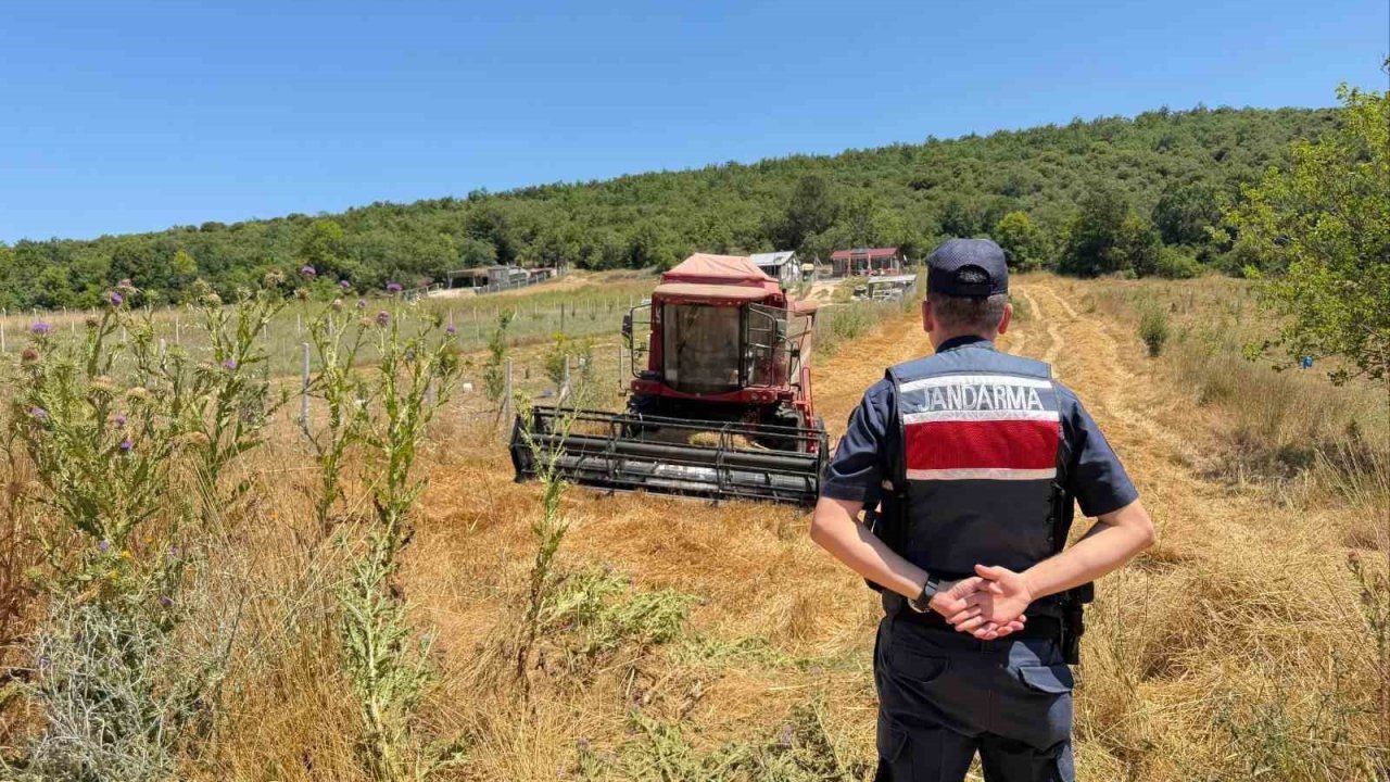 Tarlada su tankersiz hasat yapan biçördöver sahibine 3 bin 705 lira ceza