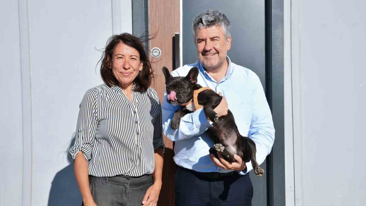 Şiddet gören köpeği Başkan Mesut Akbıyık sahiplendi