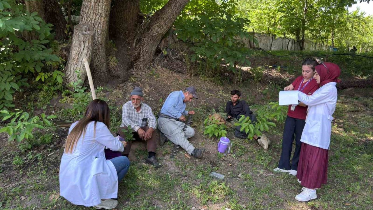 Hakkari’de kanser taraması