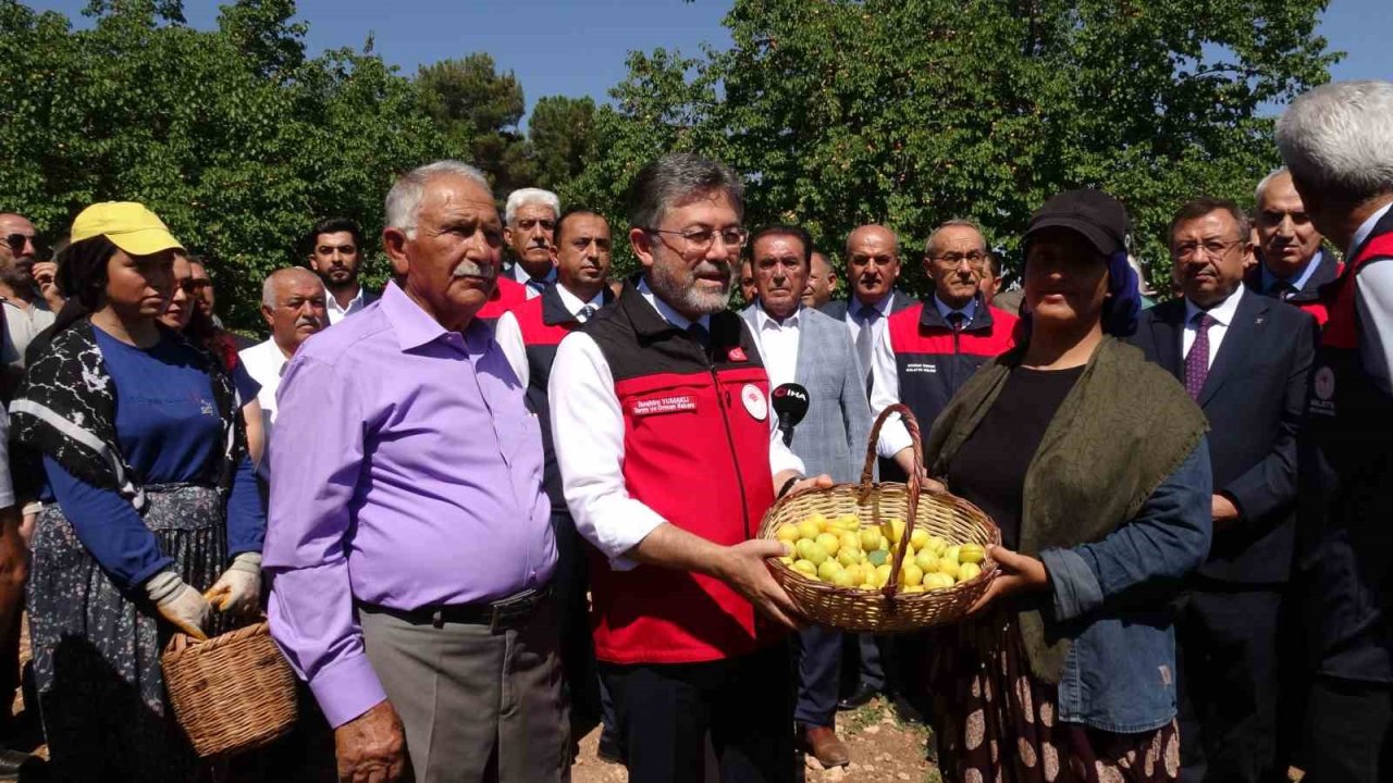 Malatya’da kayısı hasadına katılan Bakan Yumaklı: "Geçtiğimiz senenin o karamsar zamanını üzerimizden atan çok güzel bir ürün görüyoruz"