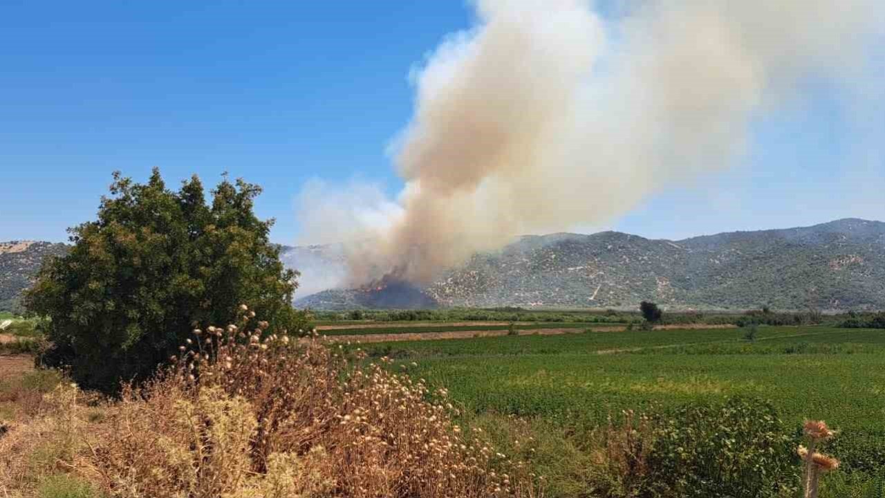 Söke’de zirai alanda yangın