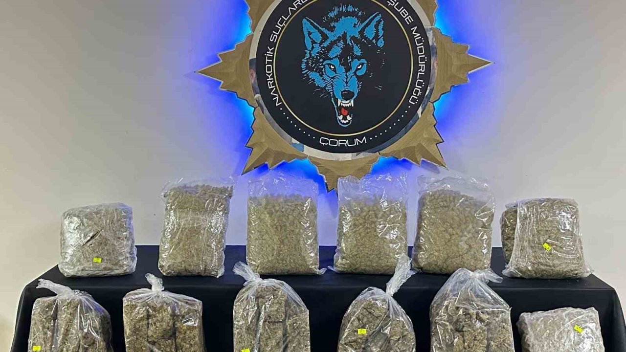 Çorum’da 9 kilo skunk ele geçirildi: 1 tutuklama