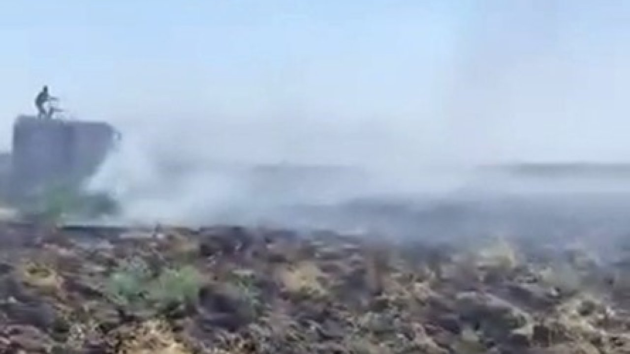 Mardin’deki anız yangını kontrol altına alındı