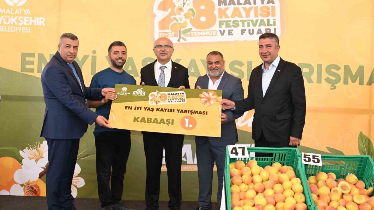 ’En İyi Kayısı’ yarışması düzenlendi