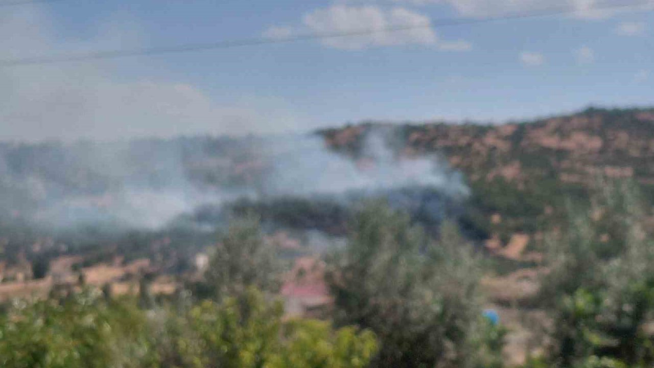 Dicle’de örtü yangını