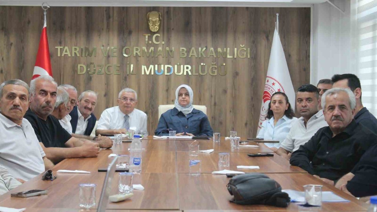 Düzce’de fındık rekolte tahmin çalışmaları değerlendirildi