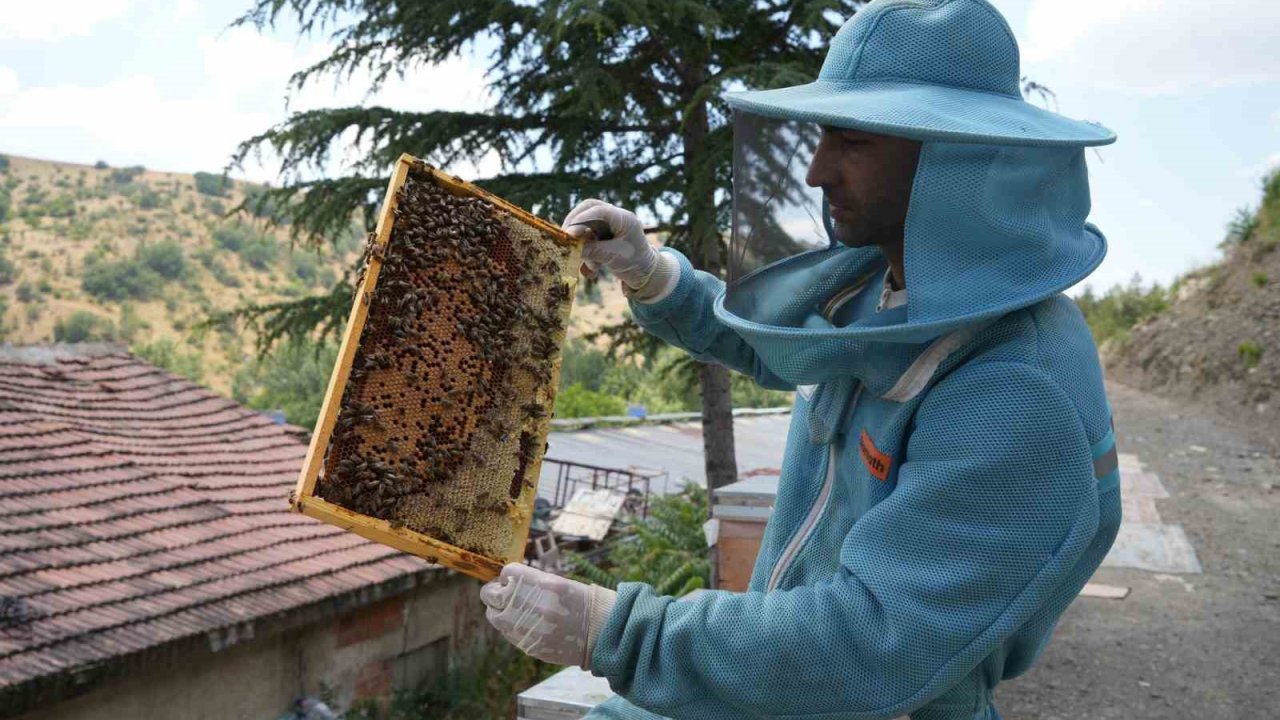 Bin 200 çeşit endemik bitki türüyle 4 kuşaktır süren gelenek: Kanyon balında 4 tonluk rekolte