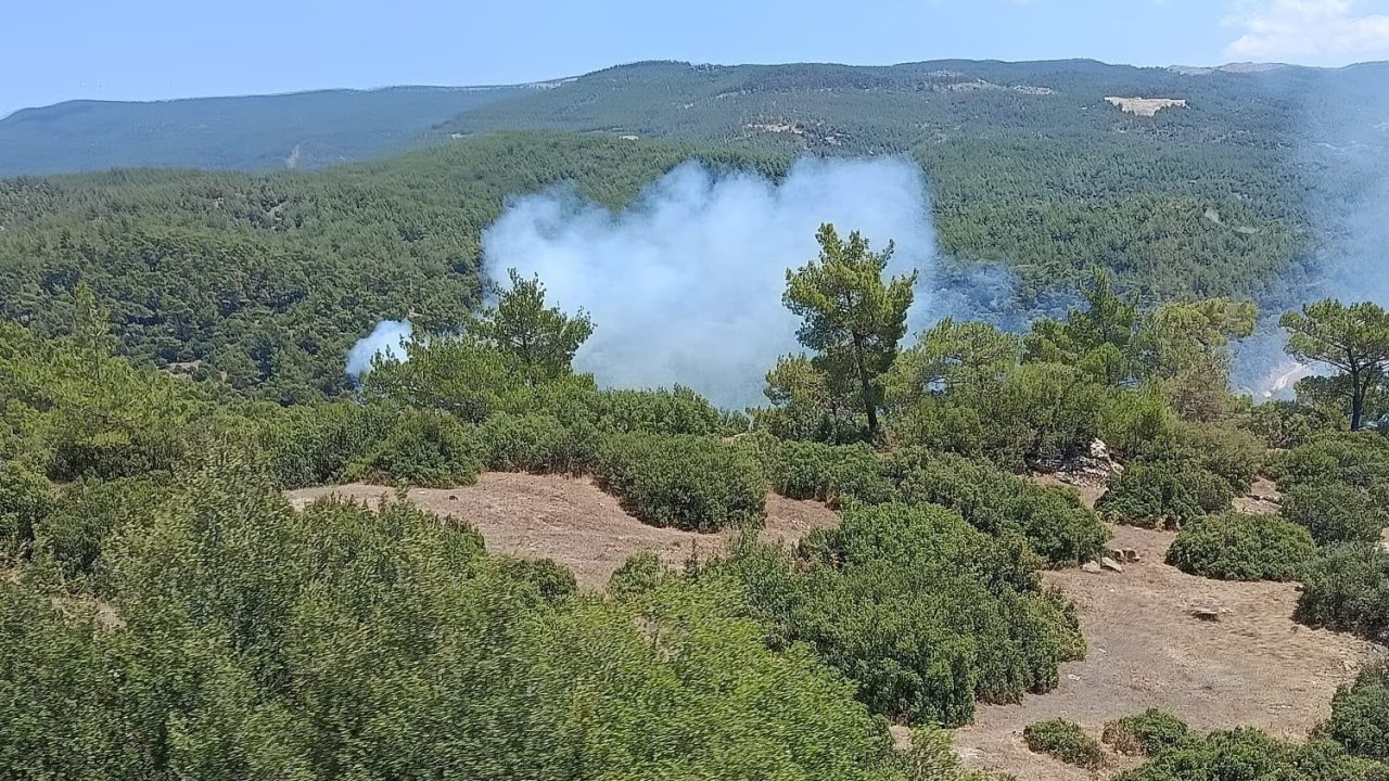Çine’de orman yangını