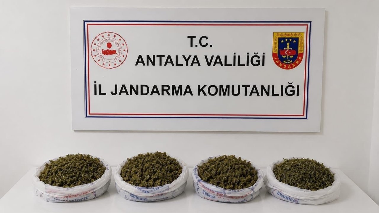 Evde yapılan aramada 1 kilo 979 gram kubar esrar ele geçirildi