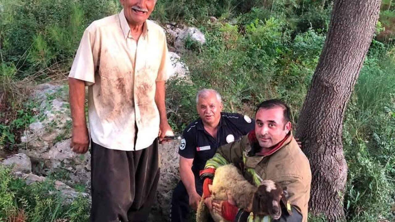 İskenderun’da dereye düşen koyun itfaiye ekiplerince kurtarıldı