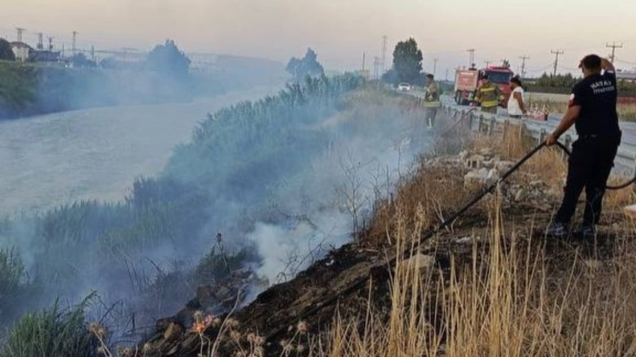 Antakya’da Asi Nehri kenarında sazlık yangını