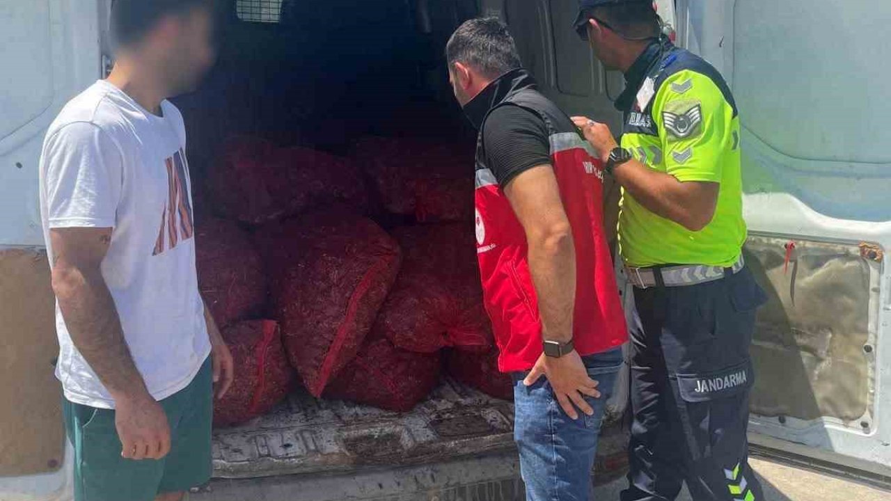 Tekirdağ’da 700 kilogram kaçak midye ele geçirildi