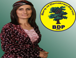 Kars Milletvekili Birtane BDP'ye Katıldı