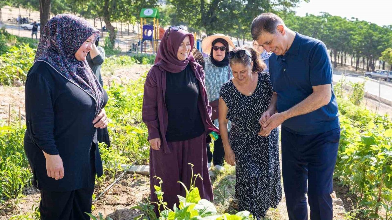 Toprakla buluşan kadınların hasat sevincine Başkan Tugay da ortak oldu